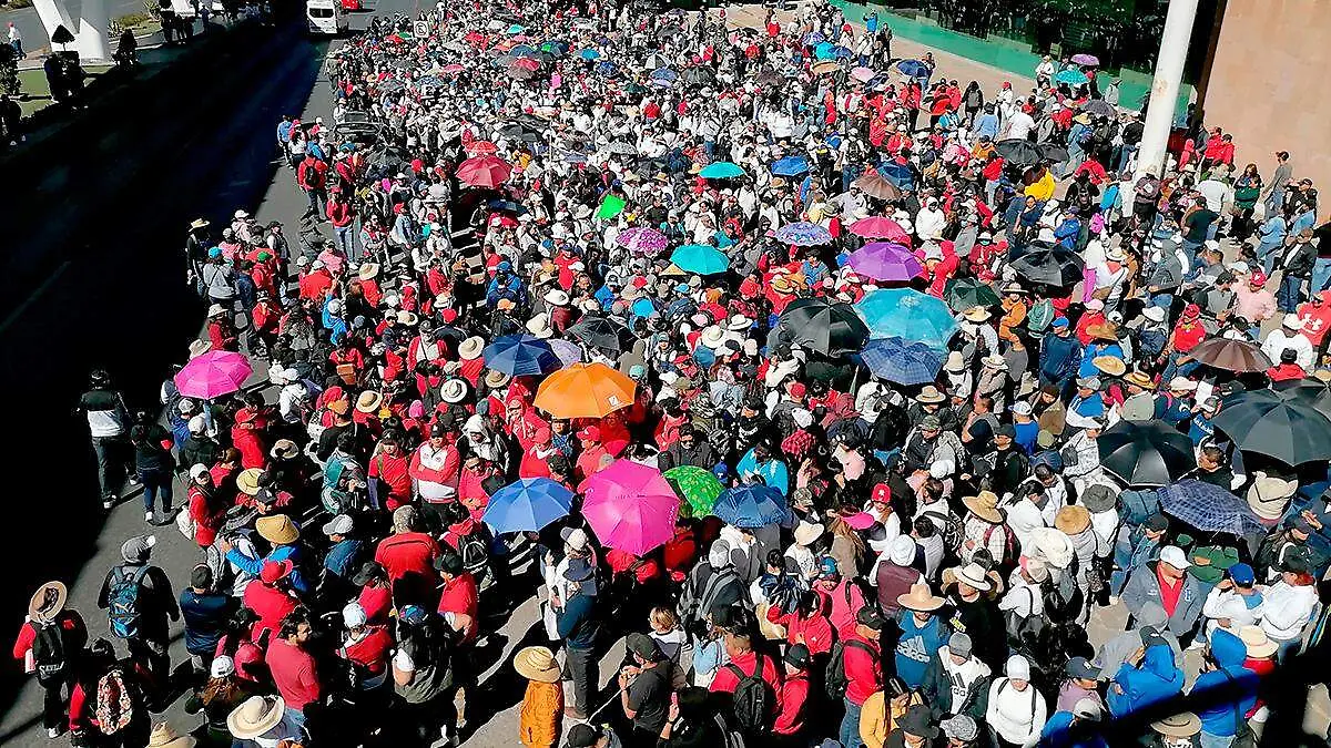 Contingente de docentes